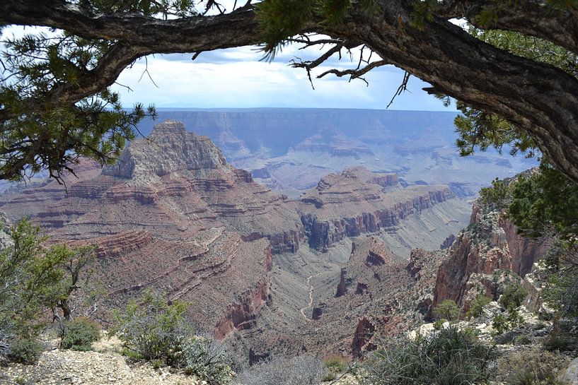 Grand Canyon, Arizona by Bernard van Zwol