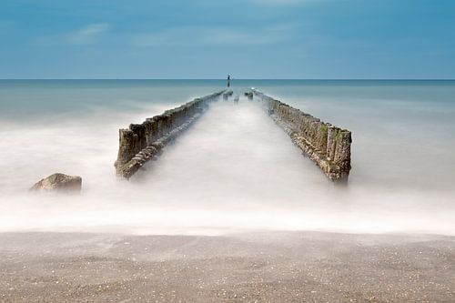 Pile heads on the beach in Zeeland