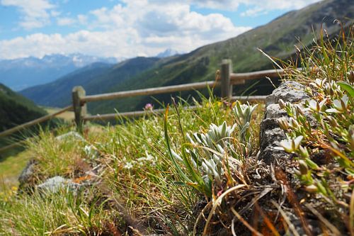 De majestueuze bergwereld rond Piz Rims in Zuid-Tirol