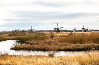 Parc éolien de Kinderdijk par Brian Morgan Aperçu