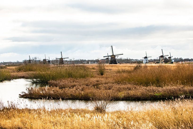 Parc éolien de Kinderdijk par Brian Morgan