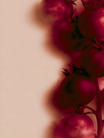 Shadowed Tomato Harvest by Mosaic Dialogue