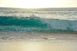 The wave by Frank's Awesome Travels