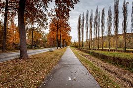 Herfst in het Geuldal van Rob Boon