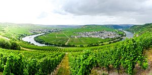Überwachung der Mosel