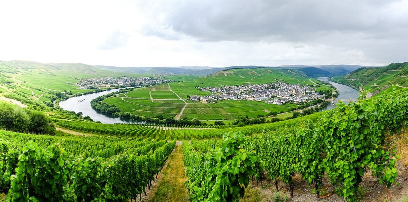 Moselle surveillance by Peter Deschepper