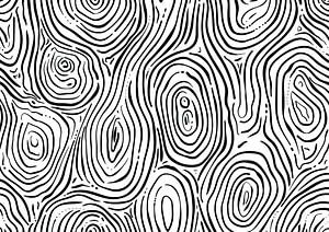 Lignes modernes