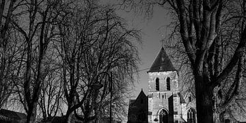 Oude bomen rond de kerk in Berlare van Imladris Images