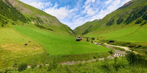 Malga Fane - de Fanealm in Zuid-Tirol