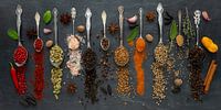 Colourful selection of exotic spices on a slate plate