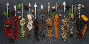 Kleurrijke selectie van exotische kruiden op een leistenen bord van Photo Art Thomas Klee
