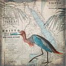 Egypt Heron van Andrea Haase thumbnail