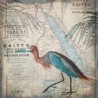 Egypt Heron
