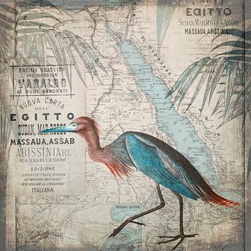 Egypt Heron by Andrea Haase