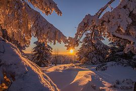 Sunset by Robin Feldmann