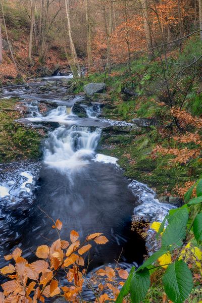 Framed by Jan Koppelaar Fotografie