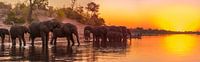 African Sunset van Jack Soffers thumbnail