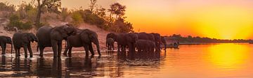 Afrikanischer Sonnenuntergang von Jack Soffers