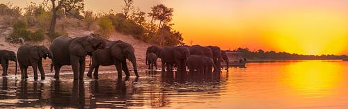 Afrikanischer Sonnenuntergang