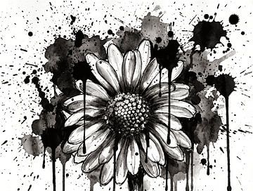 Stedelijke contrasten in monochroom