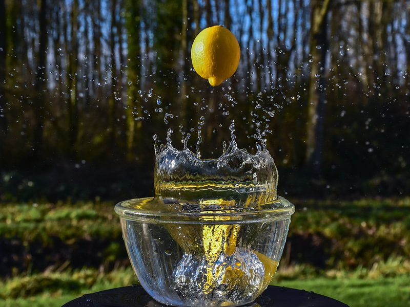 Catch me / Catch me by Henk de Boer