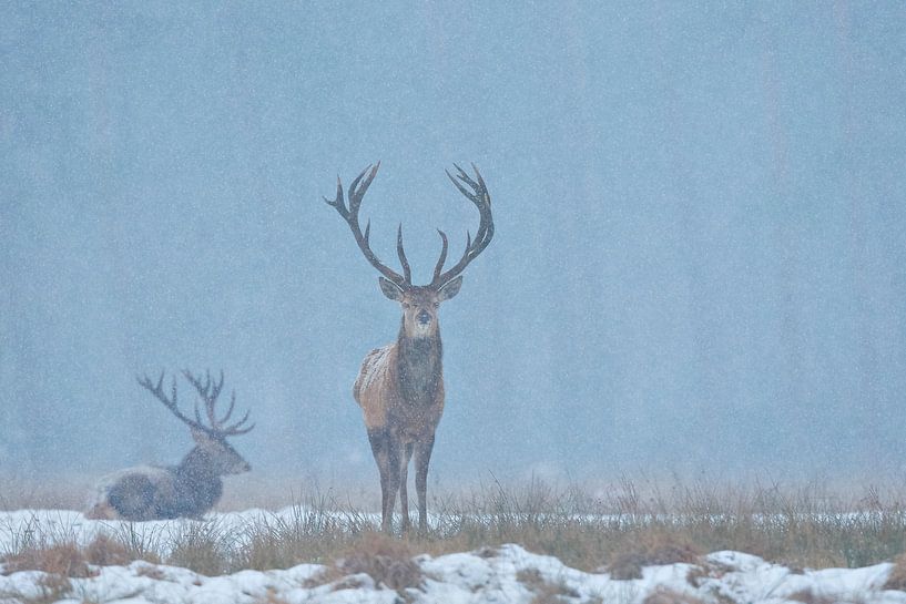 Winter atmosphere by Rob Christiaans