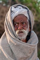 India: Bejaarde met witte tulband (Jorawarpur)