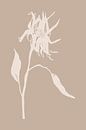 Boho botanical wildflower in beige no.1 by Dina Dankers thumbnail