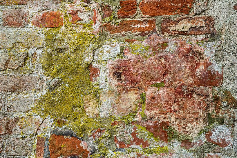 moss green by Peter Nijsen