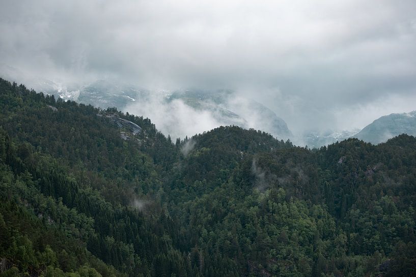 Sérénité dans le fjord de Moustramen à Bergen, Norvège | Forêt | Atmosphère mystique | Photographie de voyage par Ylenia Di Pietra