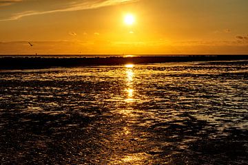 Gouden zonsondergang in de Waddenzee van Katrin May