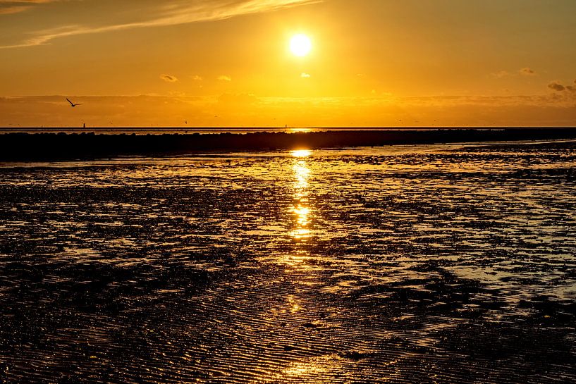 Golden sunset in the Wadden Sea by Katrin May