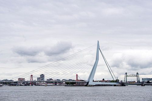 Skyline Rotterdam