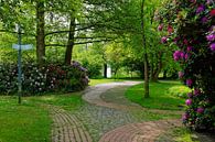 Rhododendronbloesem in het park van Gisela Scheffbuch thumbnail