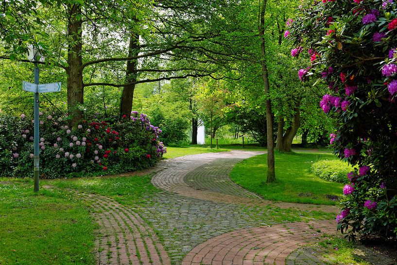 Rhododendronbloesem in het park van Gisela Scheffbuch