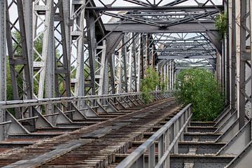 Alte Elbebrücke bei Barby (Sachsen-Anhalt) von t.ART