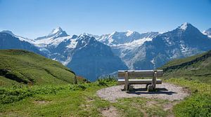 Aussichtsbank Grindelwald First, mit Blick in die Berner Alpen von Susanne Bauernfeind