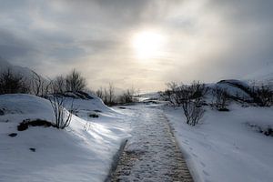 Path of peace van Hans Vellekoop