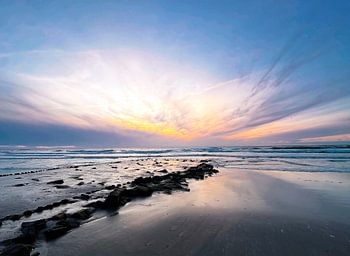 The elements of nature Vlieland