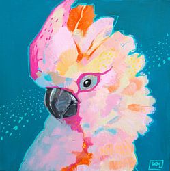 Pink parrot bird