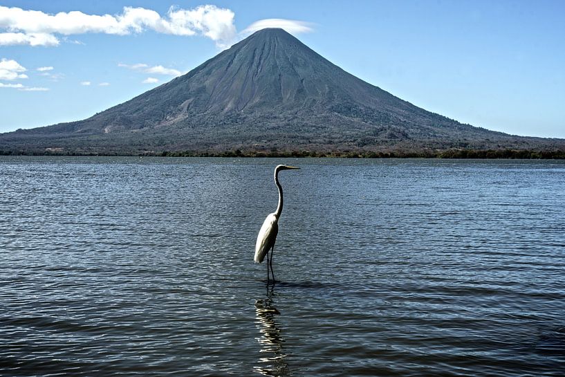 Concepción with bird by Stefan Havadi-Nagy