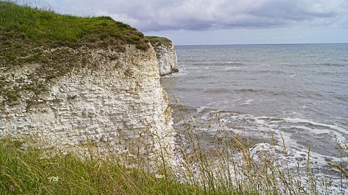 Flamborough Cliffs