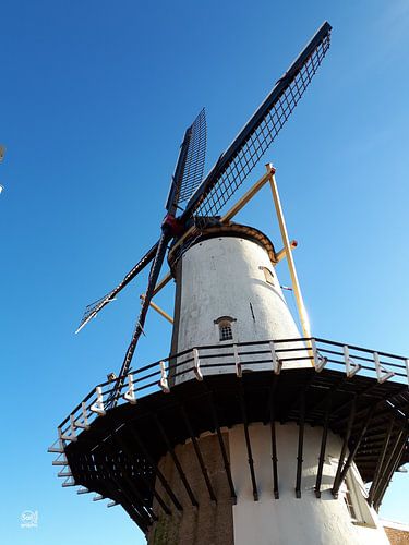 Willemstad windmill in the Netherlands