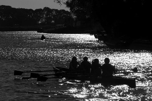 Roeiers op de Vecht