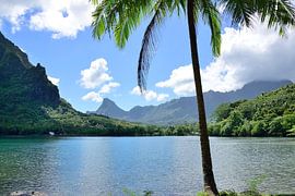 Baie d'Ōpūnohu von Frank's Awesome Travels