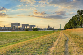 Blick über die Poller Wiesen in Köln