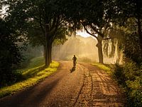 Herbstsonne am Morgen