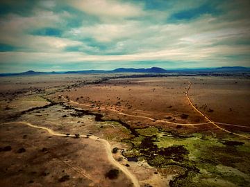 Couleurs du Serengeti sur Bart van Mastrigt