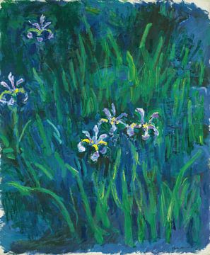 Iris, Claude Monet