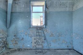 Fenêtre sur Esther de Wit